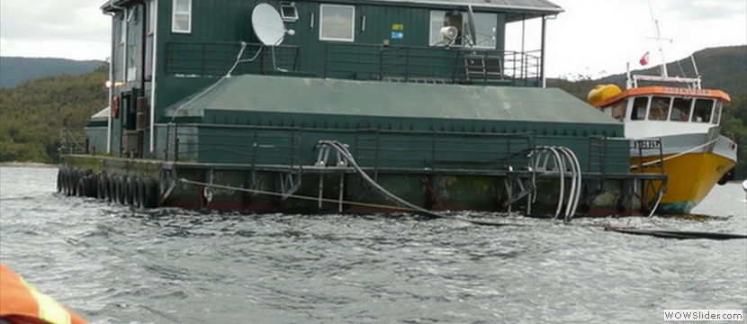 Obras civiles en Pontones